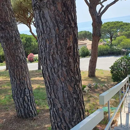 Beautiful With Pool In Sainte-Maxime