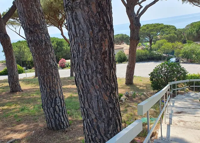 Beautiful With Pool In Sainte-Maxime